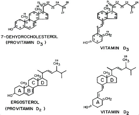 Structure Of Vitamin D3 And D2 And Their Respective Precursors Download Scientific Diagram