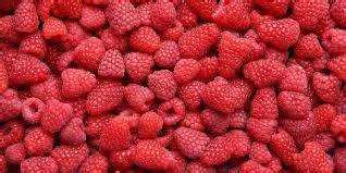 Експорт рекордних обсягів замороженої малини - Agrozernoholding