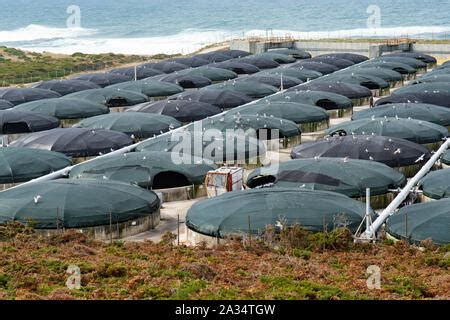 Stolt Sea Farm A Land Based Fish Farm At Cabo Vilan Camarinas