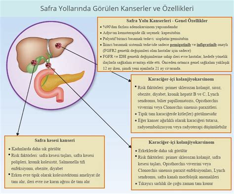 Safra yolu kanserinde immünoterapi nivolumab ile yüksek hastalık