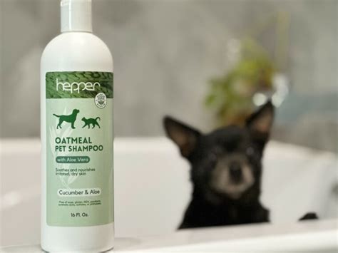 10 Best Dog Shampoos for Skin Allergies - 2024 Reviews & Top Picks | Hepper