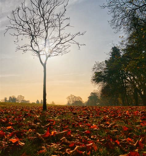 Autumn Love Paul Eccles Flickr