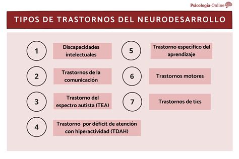 Qu Son Los Trastornos Del Neurodesarrollo Infantil Mibbmemima