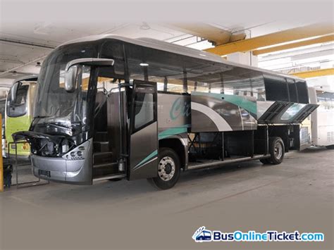 cityline travel bus ticket  booking busonlineticketcom