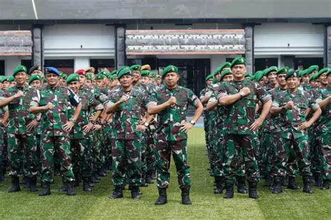 Daftar Jurusan Dan Kualifikasi Yang Dibutuhkan Untuk Masuk Tni Ad Al