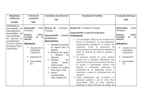 00004 Riesgo De O Infeccion Diagnóstico Enfermería Nanda Criterios