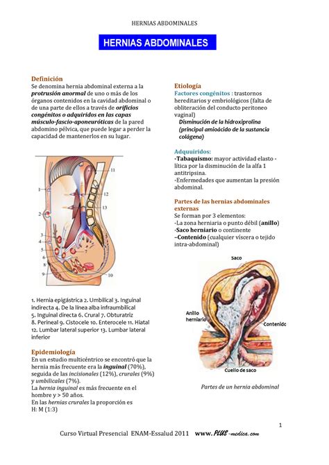 Hernias Abdominales Plus Medica Definici N Se Denomina Hernia