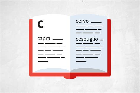 Come Si Utilizza Il Dizionario Italiano