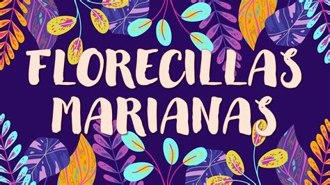 BLOG ERE ENSMA OCTAVO GRADO MES DE MAYO FLORECILLAS MARIANAS