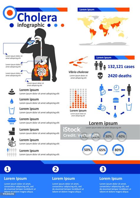 Infectious Disease Infographics Cholera Stock Illustration Download Image Now Cholera