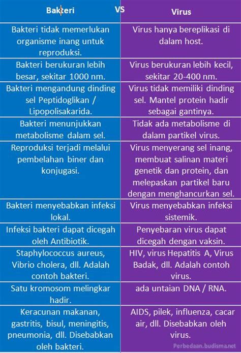 Perbedaan Bakteri Dan Virus Homecare24