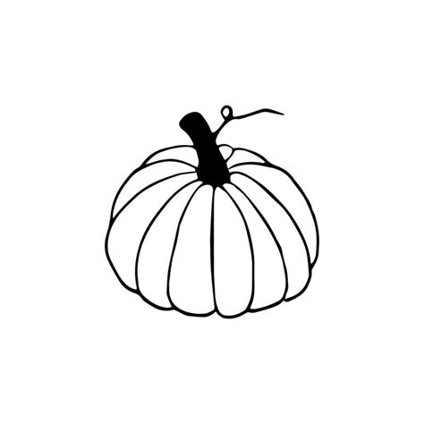 Hand drawn doodle pumpkin clipart. Vector black and white pumpkin for ...