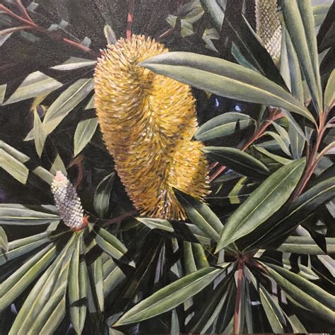 Banksia — Celia Moriarty Art