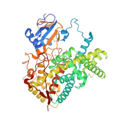 RCSB PDB 1PO5 Structure Of Mammalian Cytochrome P450 2B4