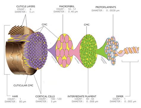 biochemistry copy  emaze