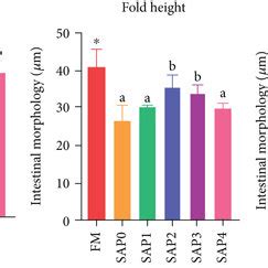 A Intestinal Histology Of L Vannamei Fed With Sulfate Based Alginate