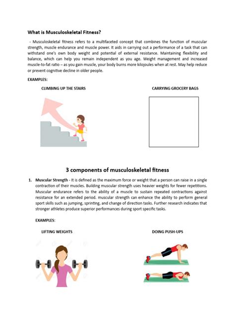 Musculoskeletal Fitness Pdf Physical Fitness Flexibility Anatomy