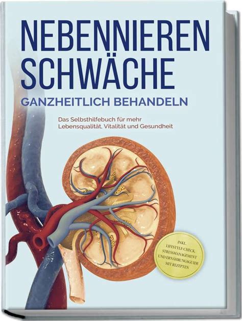 Nebennierenschw Che Ganzheitlich Behandeln Das Selbsthilfebuch F R