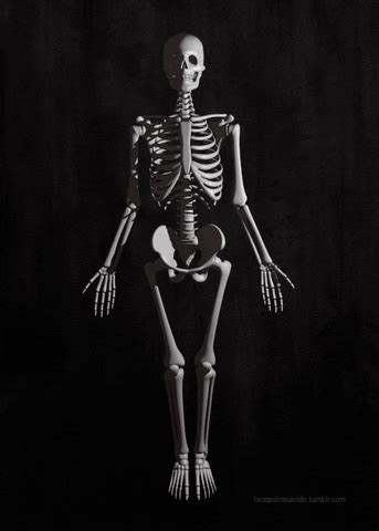 3D Skeleton GIFs - Find & Share on GIPHY