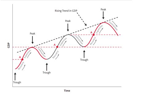 5 Phases of Business Cycle!