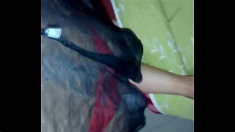 Vidéos italienne XVIDEOS