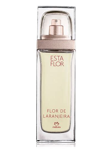 Esta Flor Flor De Laranjeira Natura Perfume A Fragr Ncia Feminino