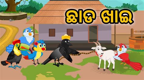 Chhad Khaai Tiki Chadhei Gapa Odia Gapa Bird Story Moral Story