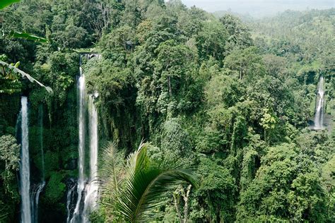 Sekumpul Las Cascadas Secretas De Bali