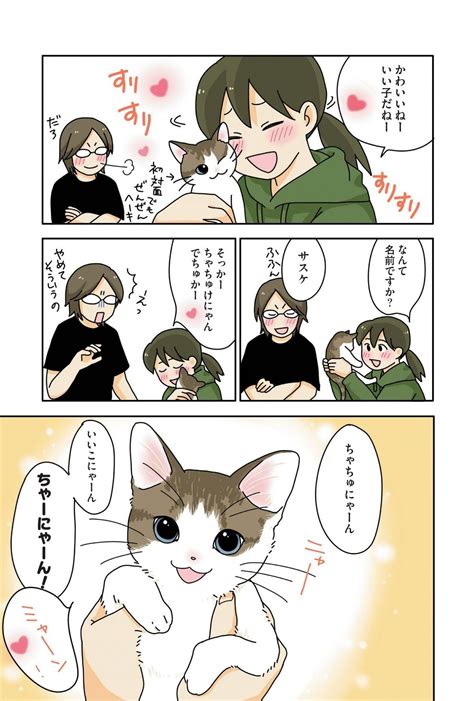 Page 33 ずっと子猫を飼うのを諦めていた旦那さん。ひょんなことから「運命の子猫」と出会う！／世界一幸せな飼い主にしてくれた猫