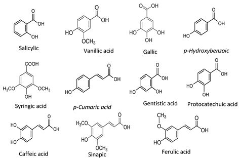 Plant Based Antioxidants Encyclopedia Mdpi