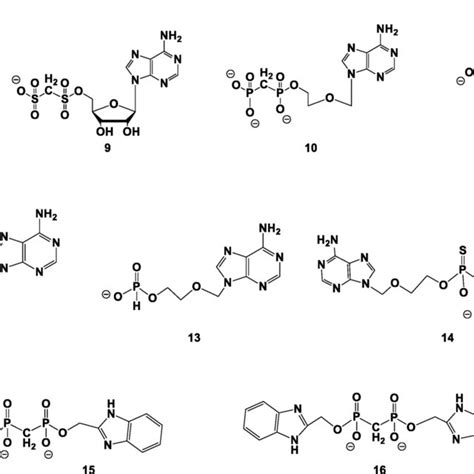 Adenine nucleotide analogs synthesized and evaluated here as NPP1... | Download Scientific Diagram