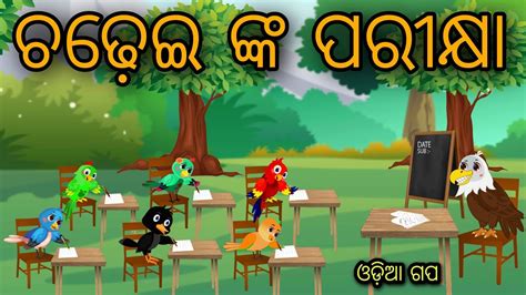 Birds School Tiki Chadhei Tuni Chidiya Bird Stories Odia Gapa Fairytale