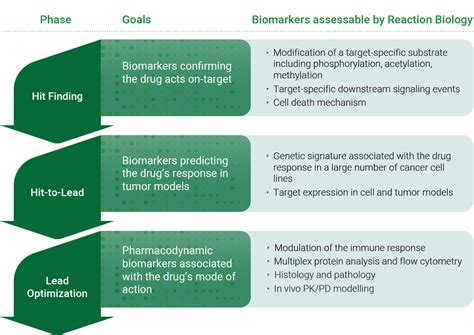 Biomarker Identification And Screening Reaction Biology