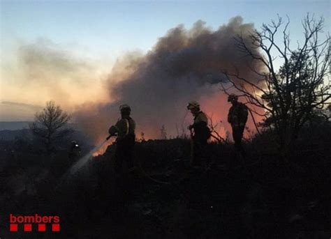 El Fuego Arrasa 38023 Hectáreas Este Año Hasta El 16 De Junio Cuatro