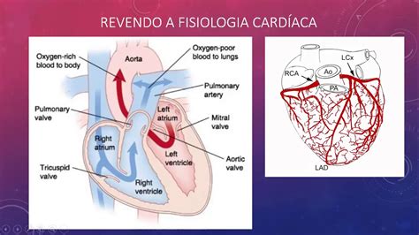 Electrocardiograma básico Dra Glória Mawete Aula 1 YouTube