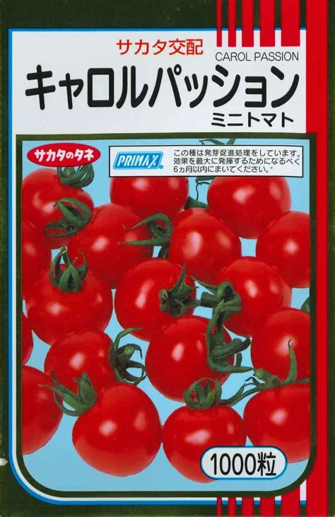 送料無料 トマトミニトマト キャロルパッション 1000粒 株サカタのタネ野菜種大玉トマト・桃太郎系・中玉トマト・ミニトマト