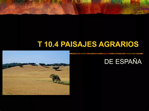 Los Paisajes Agrarios En Espa A Ppt