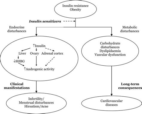 Clinical Impact Of Insulin Resistance In Women With Polycystic Ovary Syndrome Intechopen