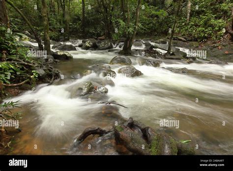 Stream At Serian Town Kuching Sarawak Malaysia Borneo Stock Photo