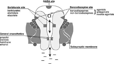 Figure 1 from Benzodiazepine pharmacology and central nervous system-mediated effects ...