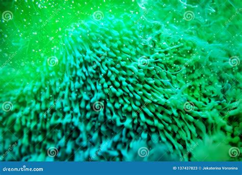 Resin Petri Dish Art stock image. Image of abstract - 137437823