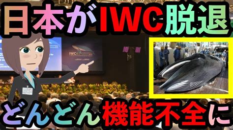 海外の反応】衝撃 日本のiwc脱退から数年 散々日本を叩いてきた反捕鯨派とiwcの実態が Iwcが今更慌てだす 他国は脱退しないで【twitterの反応】 Youtube