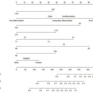 Prediction Model Of The Overall Survival Os Nomogram In Appendix