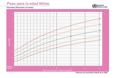 🥇¿qué Dicen Los Expertos Del Percentil Bebé【2020】 Guía Imprescindible