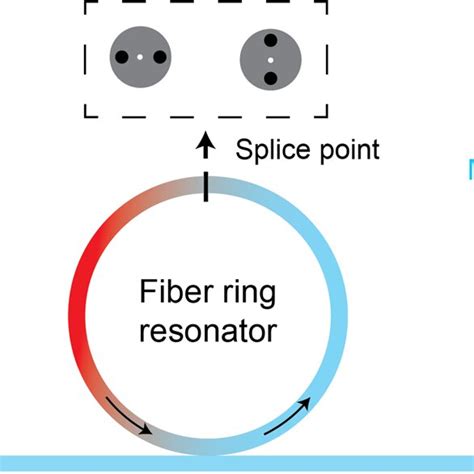 A M Bius Ring Resonator Of Twisted Polarization Maintaining Pm Fiber