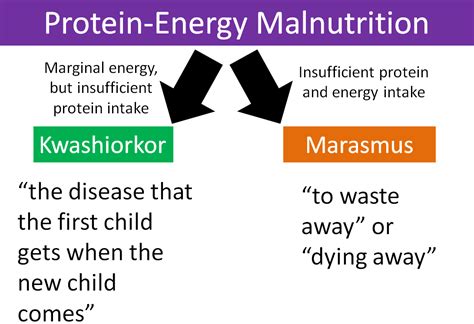 2.28 Protein-Energy Malnutrition | Nutrition Flexbook