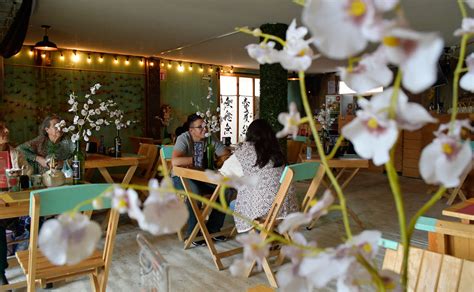 Mapa Toluca Los Mejores Restaurantes Para Festejar El 10 De Mayo Día