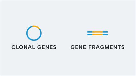 Resources Ansa Biotechnologies