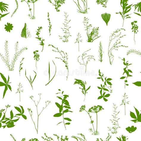 Seamless Pattern of Field Grass. Hand Drawing. Not AI. Vector ...