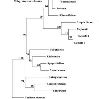 Dendrogram Constructed Using The Neighbor Joining Nj Method From The